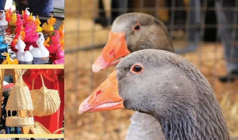 Fiera di San Provino